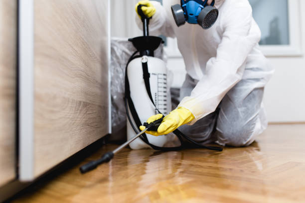 Best Wasp Removal Services  in Elk Rapids, MI