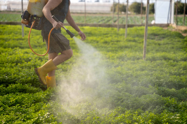 Best Mosquito Control Services  in Elk Rapids, MI