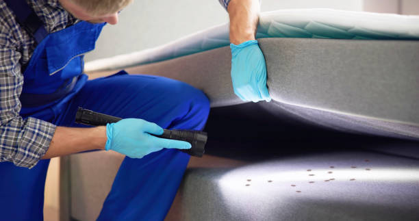 Best Mosquito Control Services  in Elk Rapids, MI