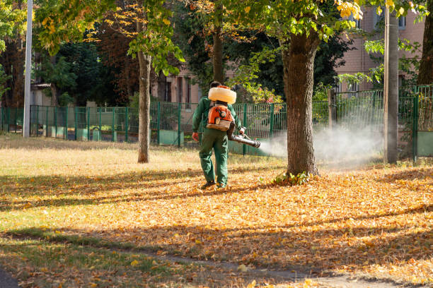 Best Affordable Pest Control Services  in Elk Rapids, MI