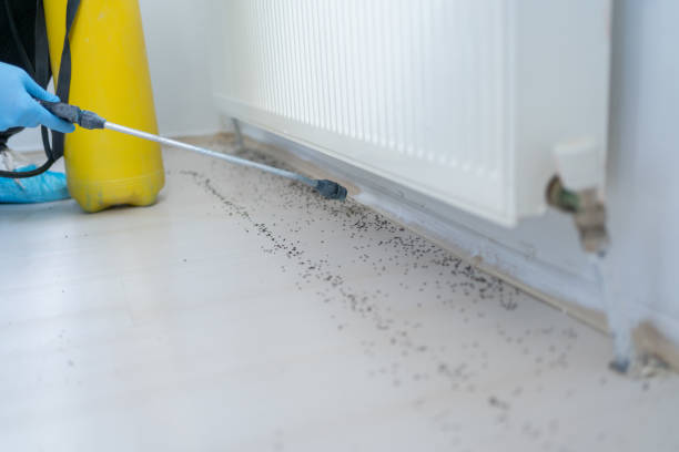 Best Cockroach Control Services  in Elk Rapids, MI